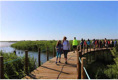 Visitas OVARNATURA