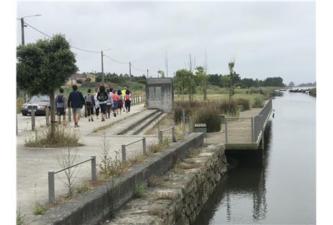 Caminhada, Passeio de Bicicleta & Tour de Moliceiro