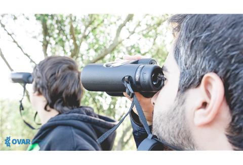 Birdwatching