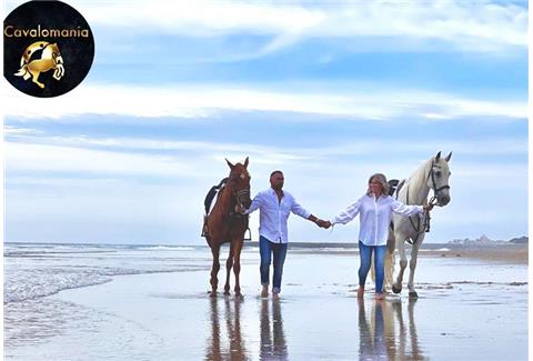 Outras Atividades de Animação