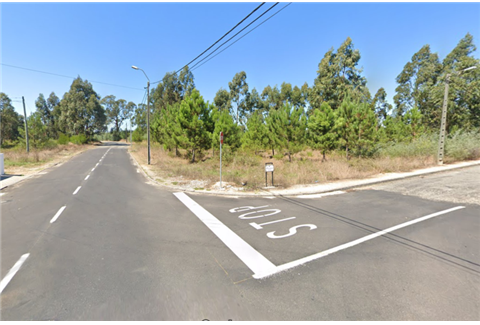 Passeios na Rua Tenente Coronel Camossa e Ramalho Ortigão [em curso]