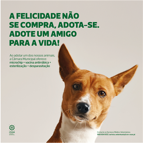 Campanha do Município de Ovar incentiva a adoção de animais do Canil Municipal