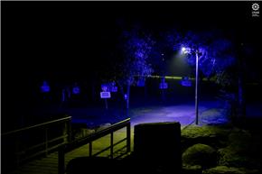 Município de Ovar assinala o 36.º aniversário da Convenção sobre os Direitos da Criança com ações nas escolas e em todas as freguesias