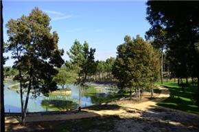 Comunicado | Lagoas do Parque Ambiental do Buçaquinho