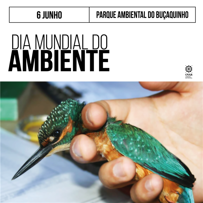 Parque Ambiental do Buçaquinho recebe comemorações do Dia Mundial do Ambiente