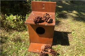 Município de Ovar em Serralves para dar a conhecer o Esquilo-Vermelho no Parque do Buçaquinho